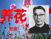 老舍幽默诗文集读后感100字