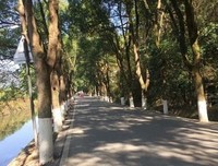 毛泽东选集（第1卷）读后感精选