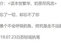 谁与温酒优美的句子