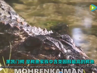 最新的《河流于不想而起么自》小说摘抄