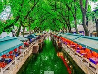 《河流道去将下向》经典的句子