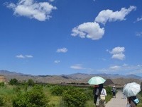 最新的《宁静的最国看处》好段摘抄
