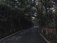 世事如烟读后感精选