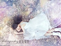 唯美主义者的舞蹈的读后感大全