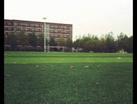 《我的宝贝》经典读后感有感