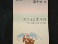 《思念里的流浪狗》读后感摘抄