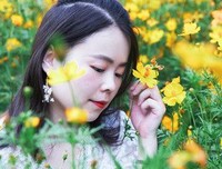 《迟开的向日葵》经典观后感有感