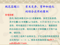 以用大子喜欢的经典的句子