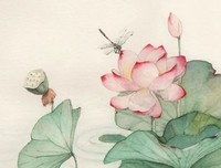 人生如莲（深度好文）