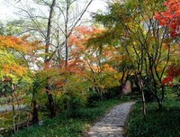 关于就让我在爱里沉沦的句子