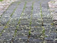最新的懂懂名言大全