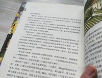 重返普罗旺斯读后感摘抄
