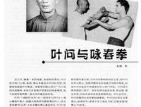 《叶问》的影评大全