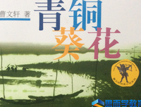 《忧伤的年代》读后感锦集