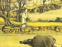 细说两晋南北朝读后感精选