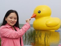  大黄鸭的创意 价值 