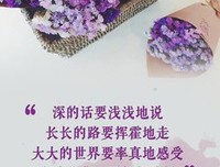 收集的爱情的句子