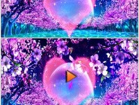 爱的宣言经典的句子
