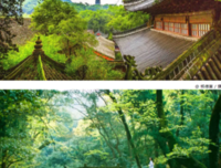 汉化佛教与佛寺读后感摘抄