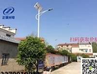 《我们的迷惘》的读后感大全
