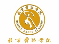 《舞蹈学院 第二季》影评100字