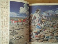 藏地牛皮书读后感1000字