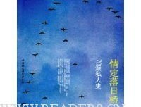 情定落日桥的读后感大全