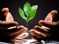 毒心的恶报