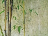 个人过花季的微疼句子大全