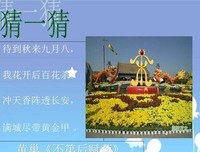 有关赏不第她的句子