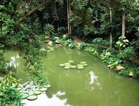 莲池大师给蜈蚣说法
