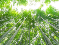 关于某某的名言