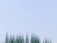 二十首情诗与绝望的歌读后感1000字