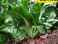 《 菜根 潭》读后感100字