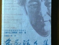 希尼诗文集经典读后感有感