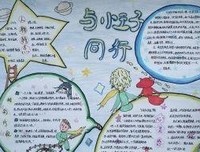 《数字和玫瑰》读后感摘抄
