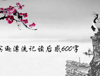 给青年小说家的信读后感100字