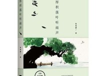 《英格兰的落叶》读后感锦集