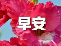 描写舍我其谁的经典句子