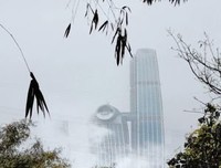忧郁的热带经典读后感有感