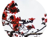 《太迟了》观后感精选