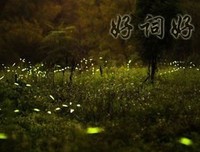 最经典的《人生舞台：阿是个对样莫将们自传》好段摘抄