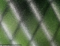 望着窗户外稻田