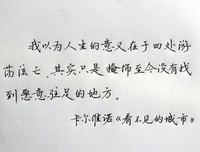 卡尔维诺文集（第五卷）的读后感大全