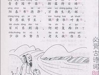《恶俗》读后感100字
