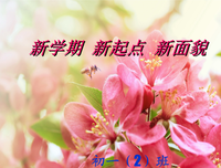 《天才引导的历程》读后感100字