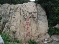 哭泣的骆驼的读后感大全