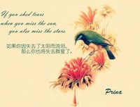 关于飞鸟集的优美句子