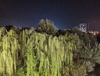 《长梦不醒》经典观后感1000字