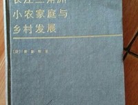 长江三角洲小农家庭与乡村发展读后感摘抄